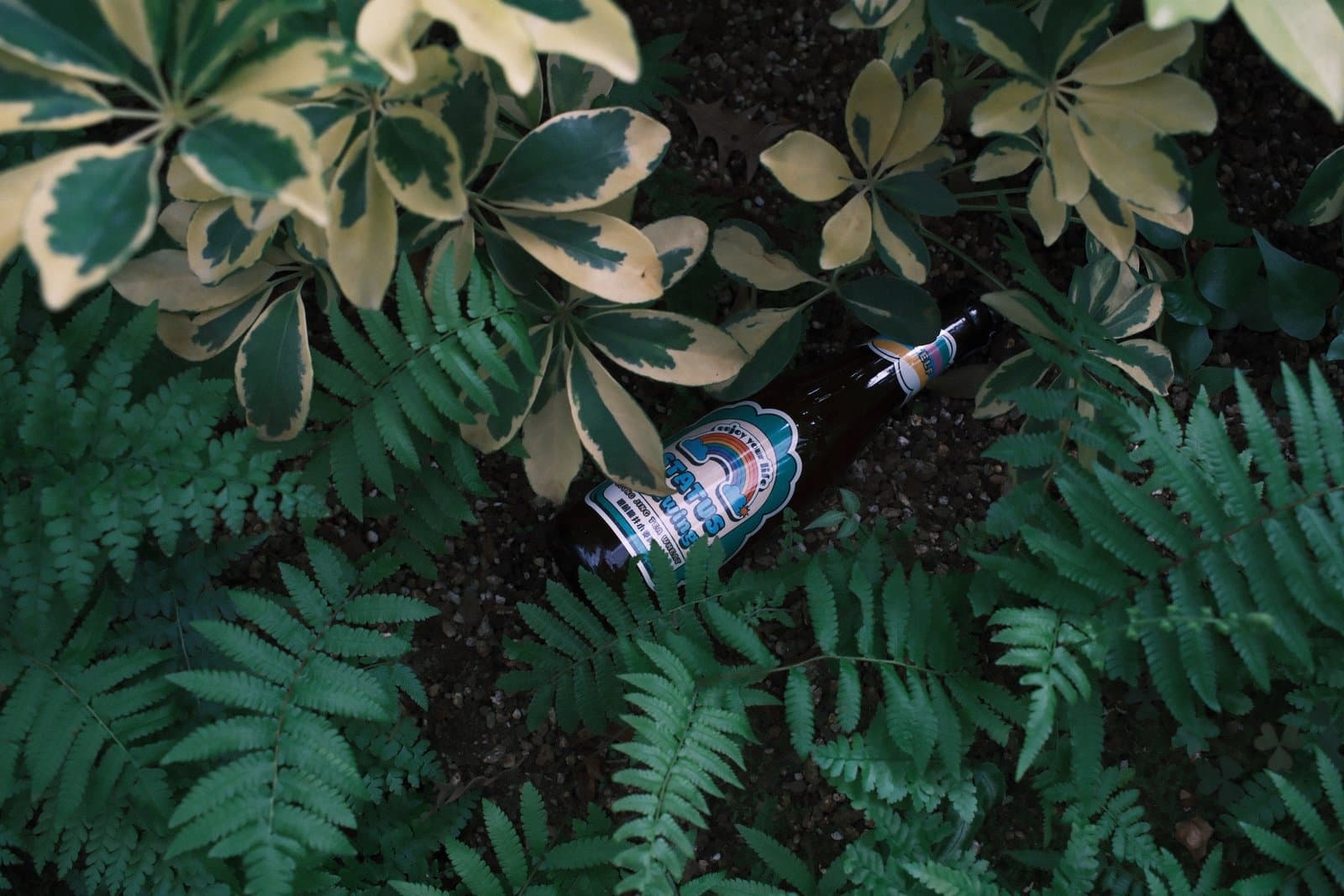 Status Brewing partner visual