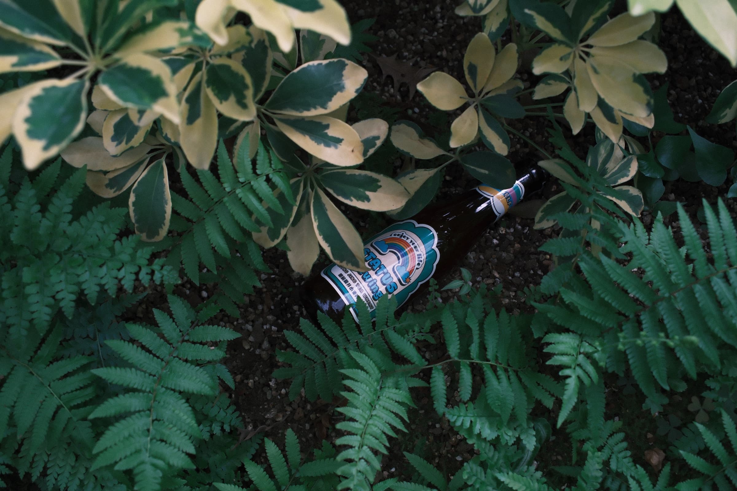 Status Brewing partner visual